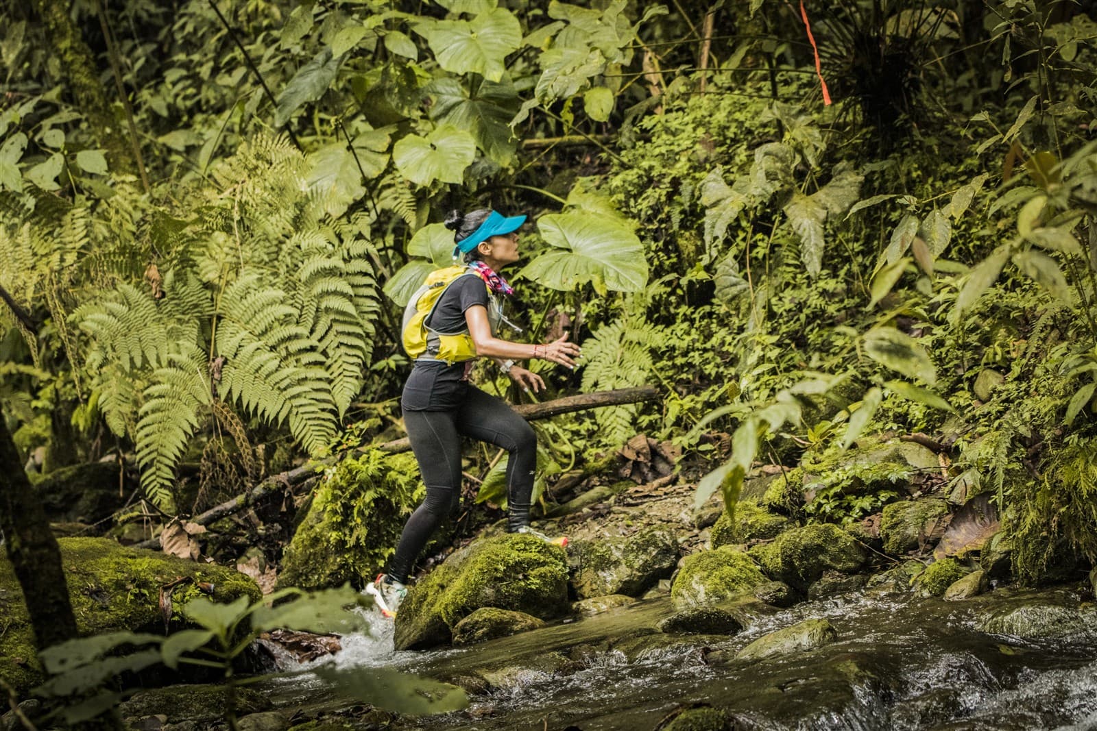 10K · Trail Running